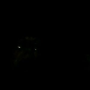 Meet your Posher, Sue